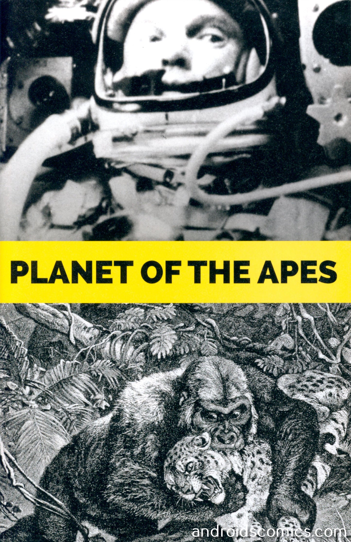 Planet Of The Apes Ursus #5 Subscription Carey Variant