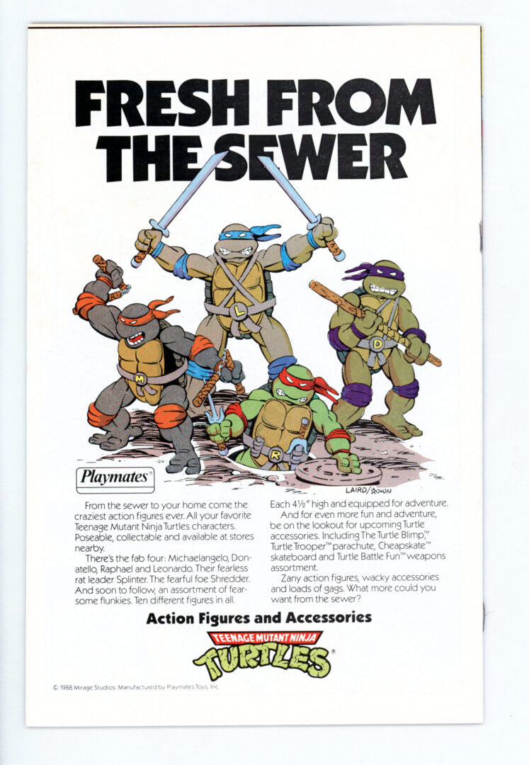 Teenage Mutant Ninja Turtles Adventures #1 FN+