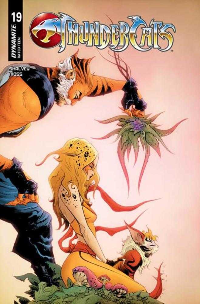 Thundercats #19 Cover C Jae Lee June Chung Variant