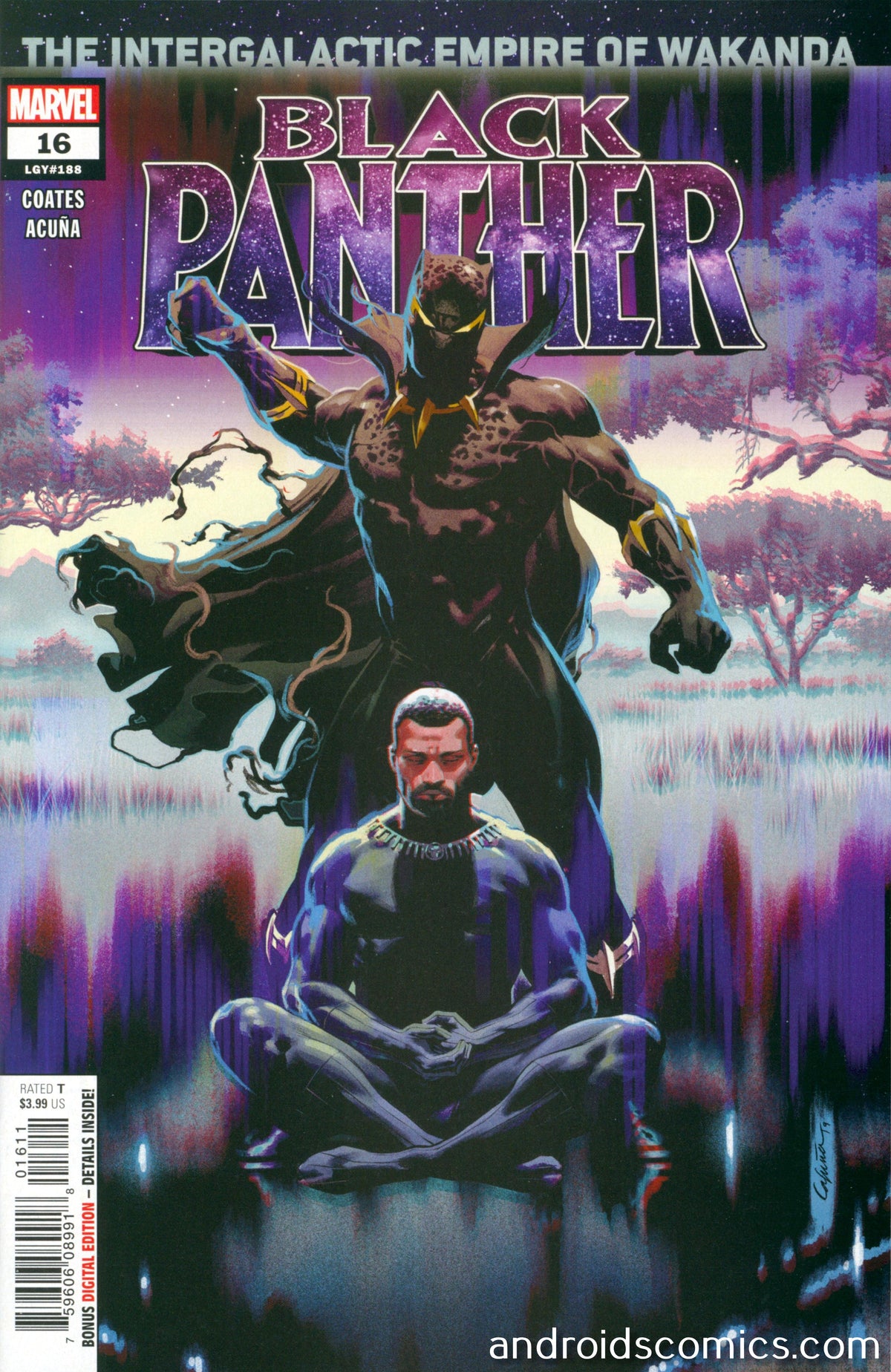 Black Panther #16