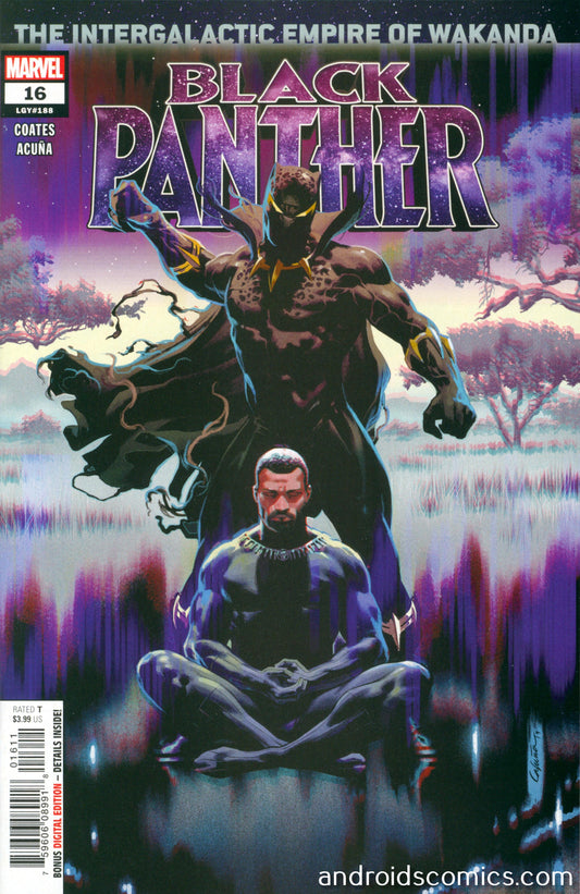 Black Panther #16