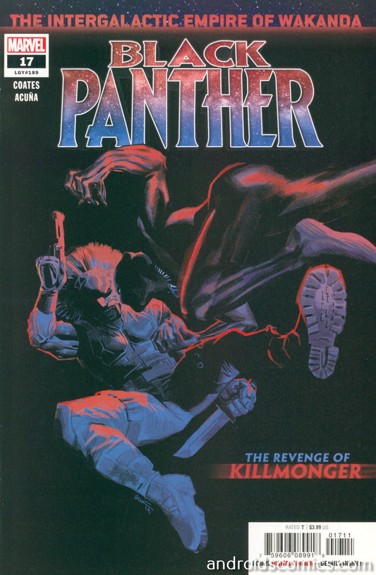 Black Panther #17