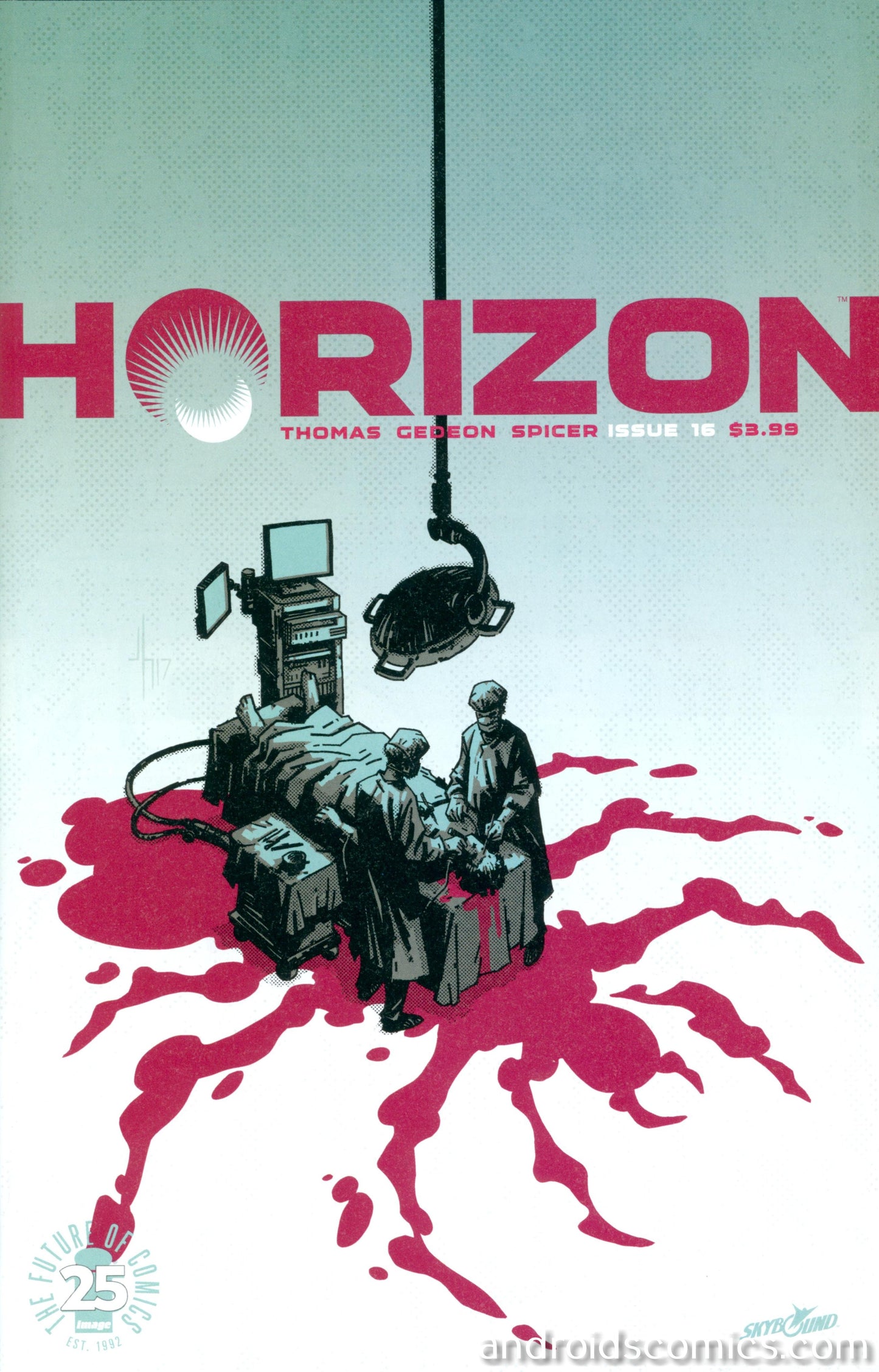 Horizon #16 (Mature)