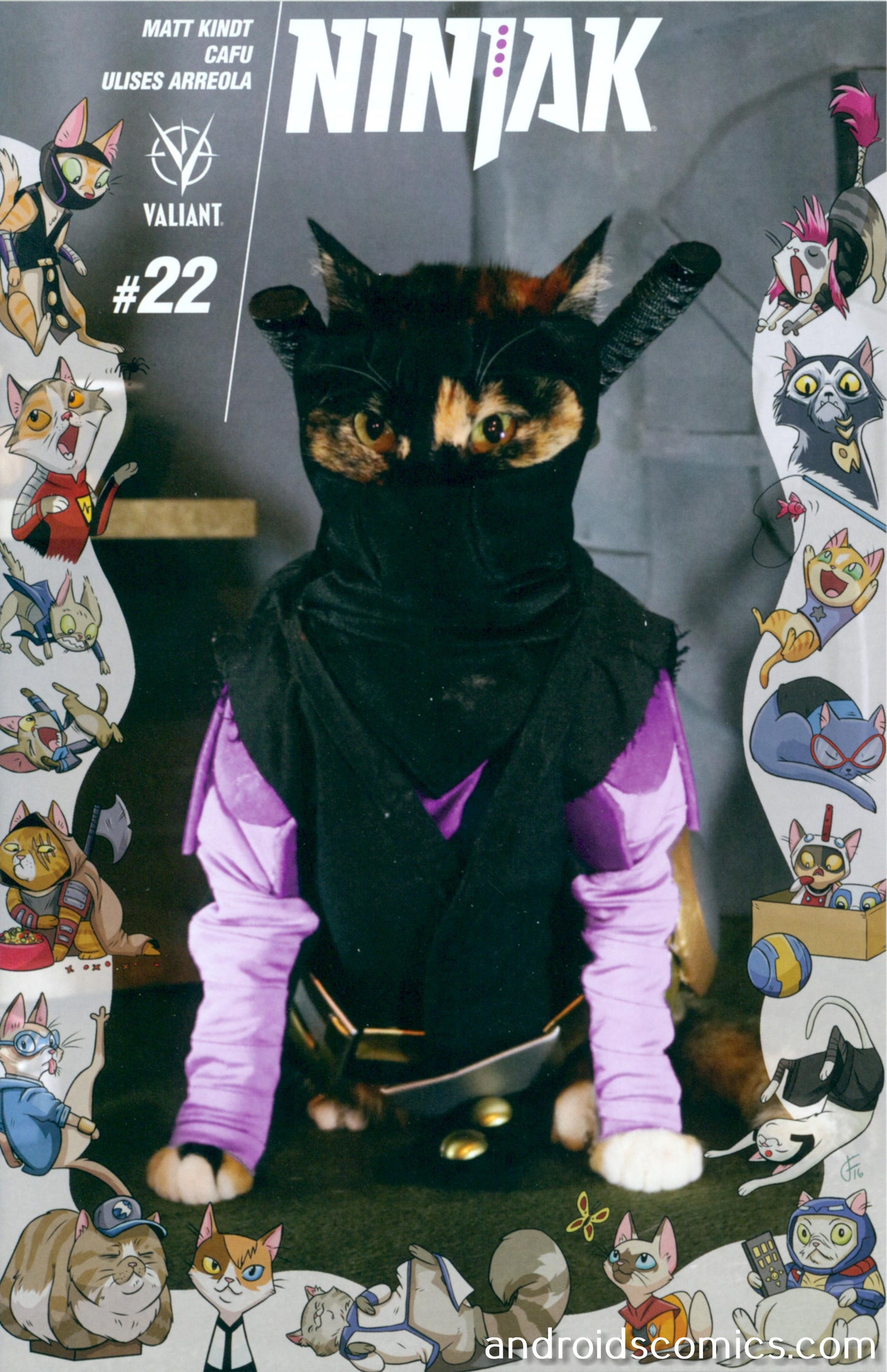 Ninjak #22 Cover C Cat Cosplay