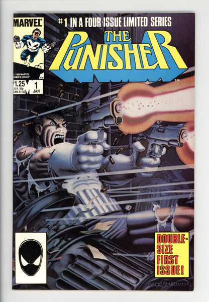 Punisher #1  VF