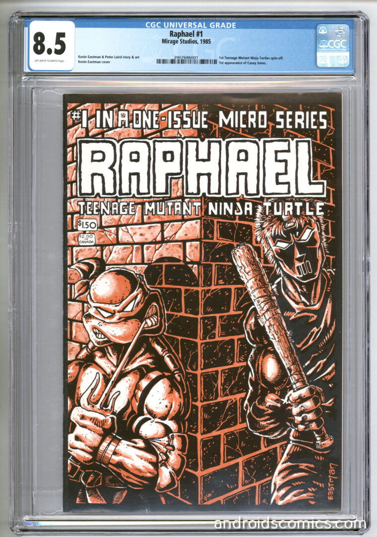 Raphael #1  CGC 8.5  1st App. of Casey Jones