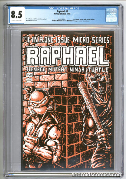 Raphael #1  CGC 8.5  1st App. of Casey Jones