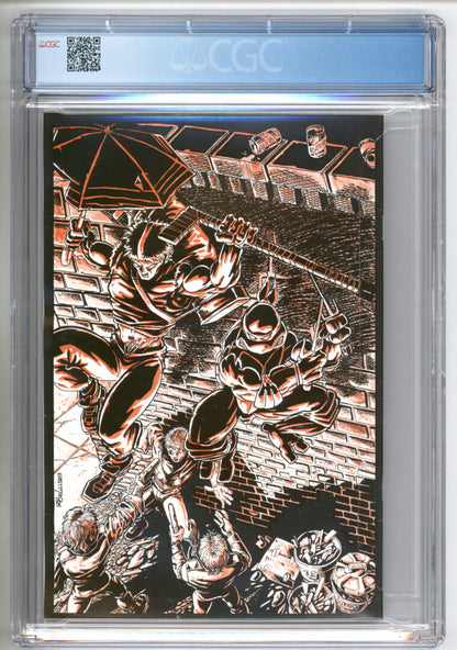Raphael #1  CGC 8.5  1st App. of Casey Jones