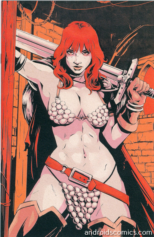 Red Sonja She Devil With a Sword #1 616 Variant C