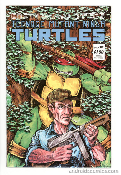 Teenage Mutant Ninja Turtles #12  NM-