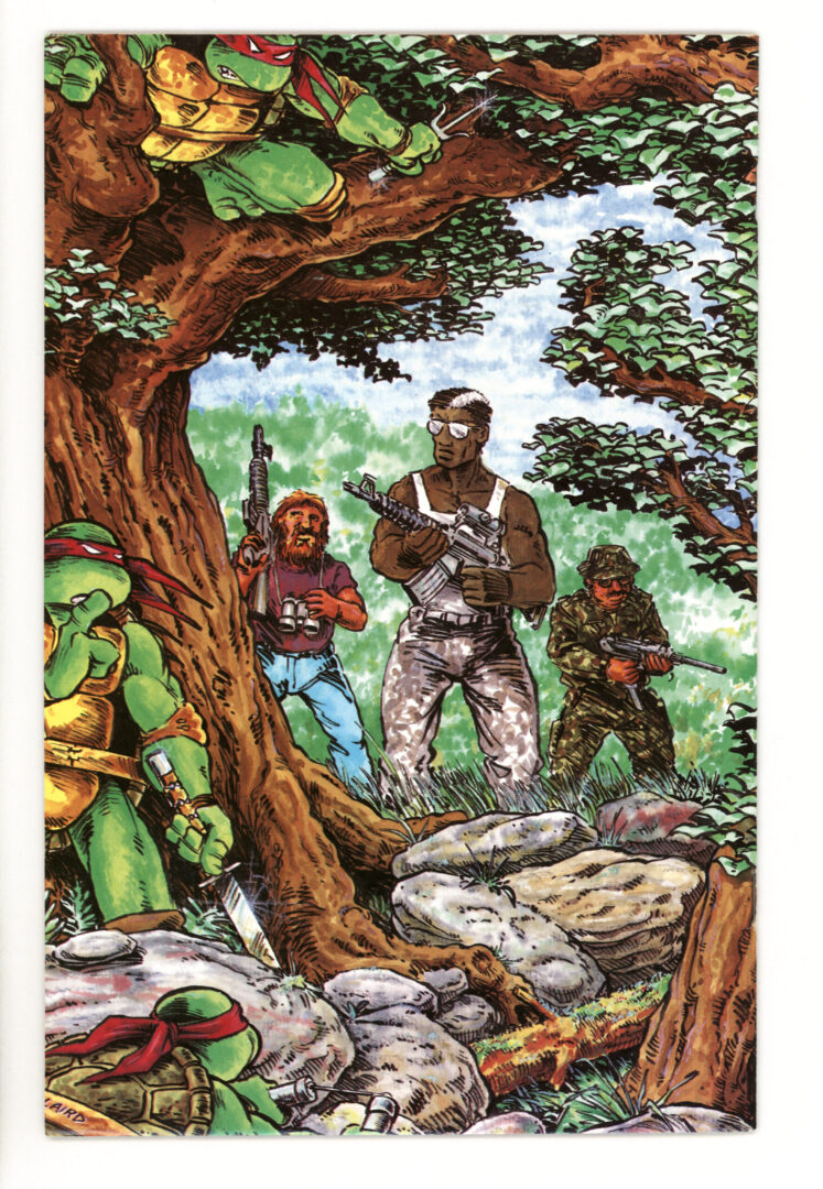 Teenage Mutant Ninja Turtles #12  NM-