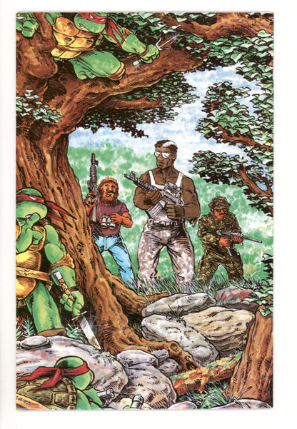 Teenage Mutant Ninja Turtles #12  NM-