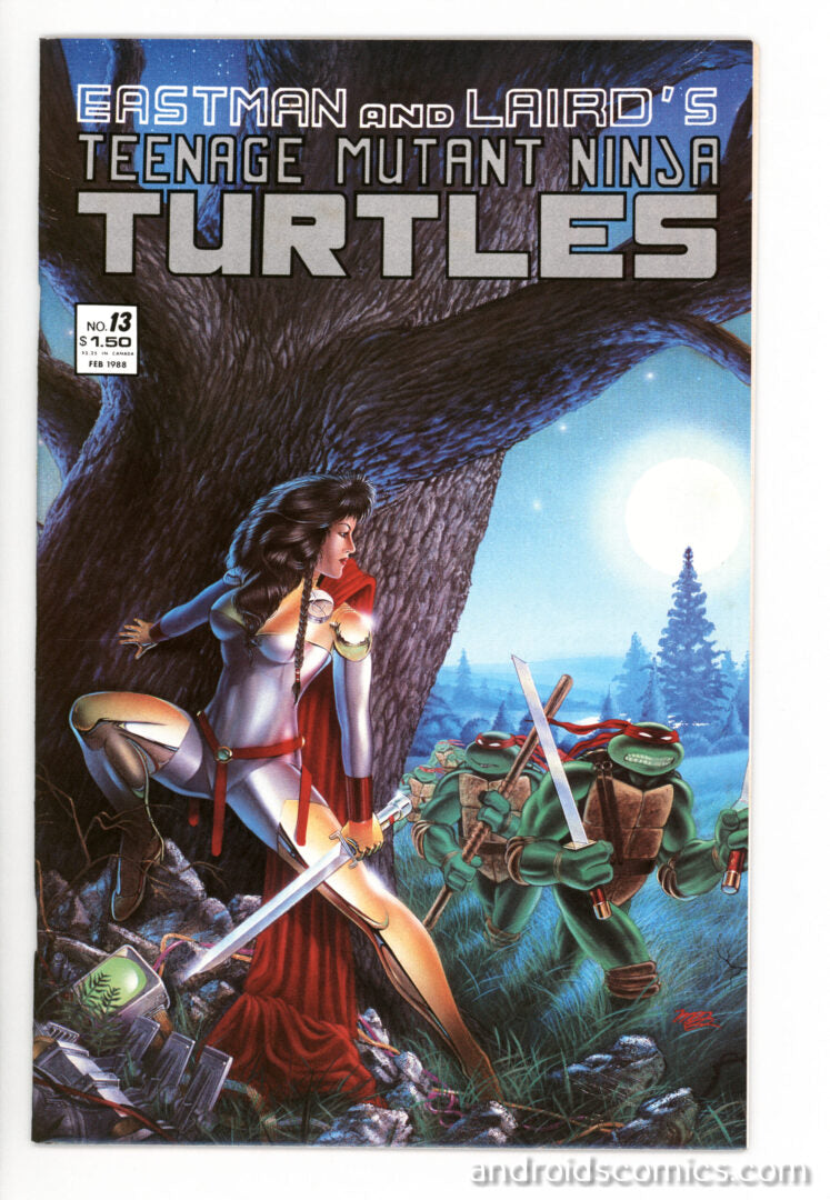 Teenage Mutant Ninja Turtles #13  VF-  1st App. of Jhanna