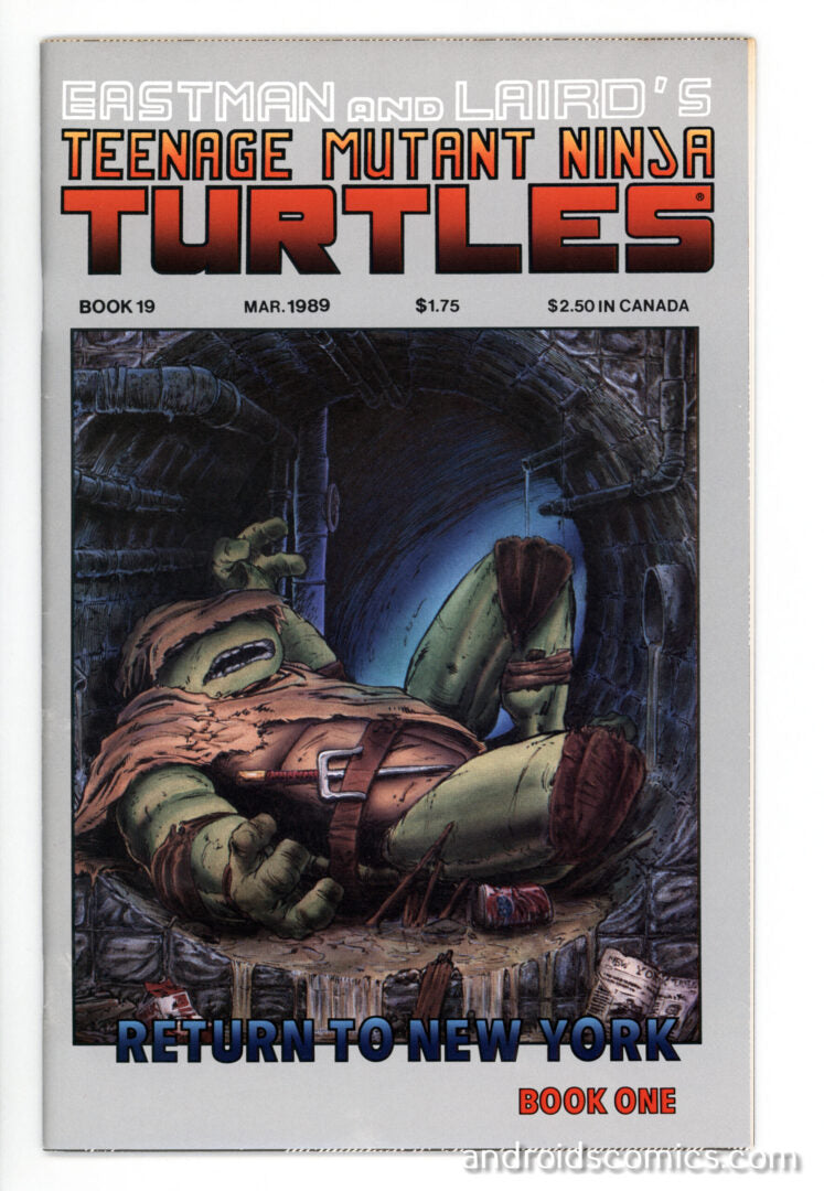 Teenage Mutant Ninja Turtles #19  VF-