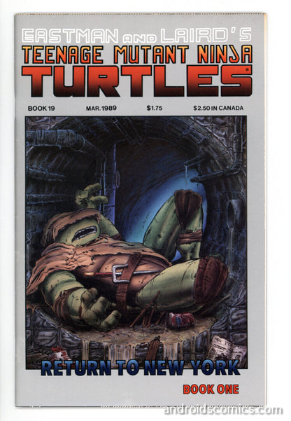 Teenage Mutant Ninja Turtles #19  VF-