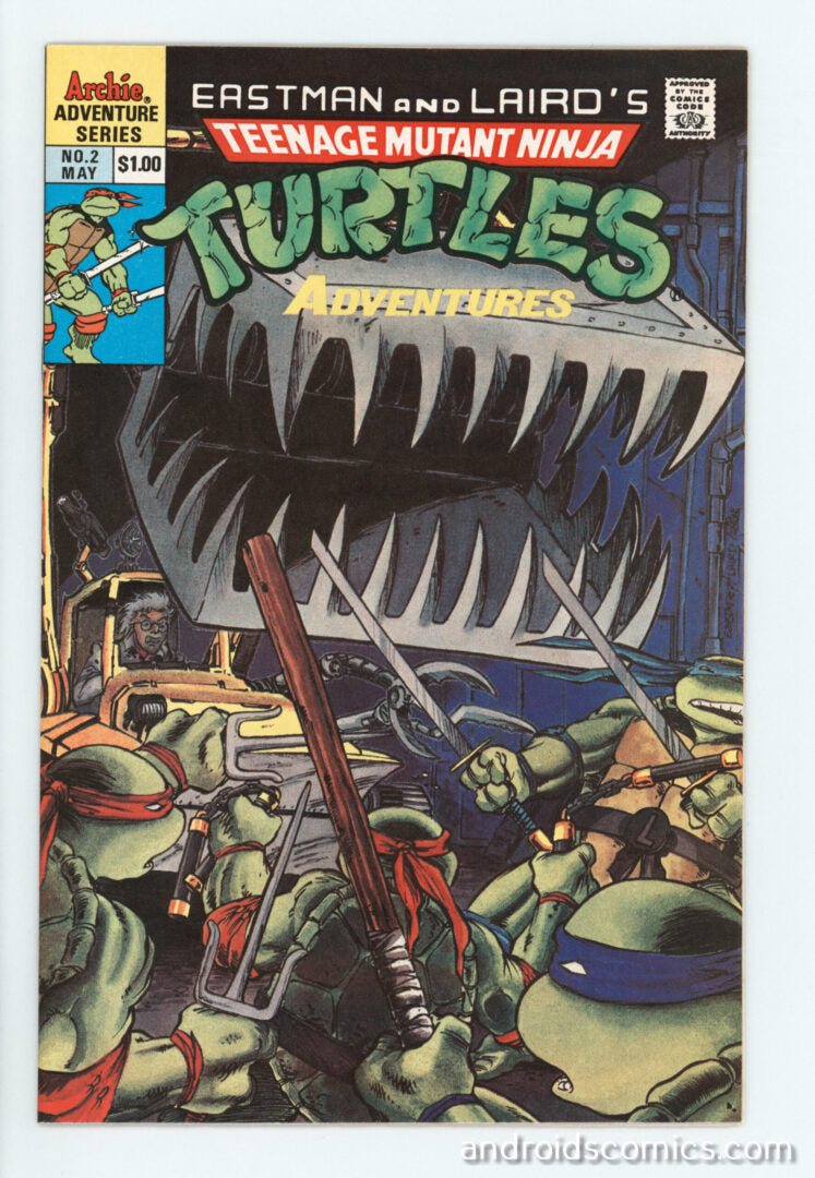 Teenage Mutant Ninja Turtles Adventures #2  FN+
