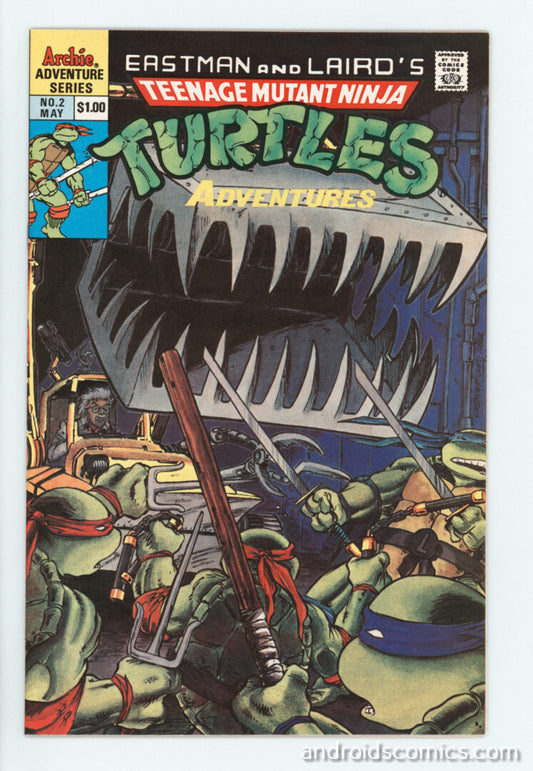 Teenage Mutant Ninja Turtles Adventures #2  FN+