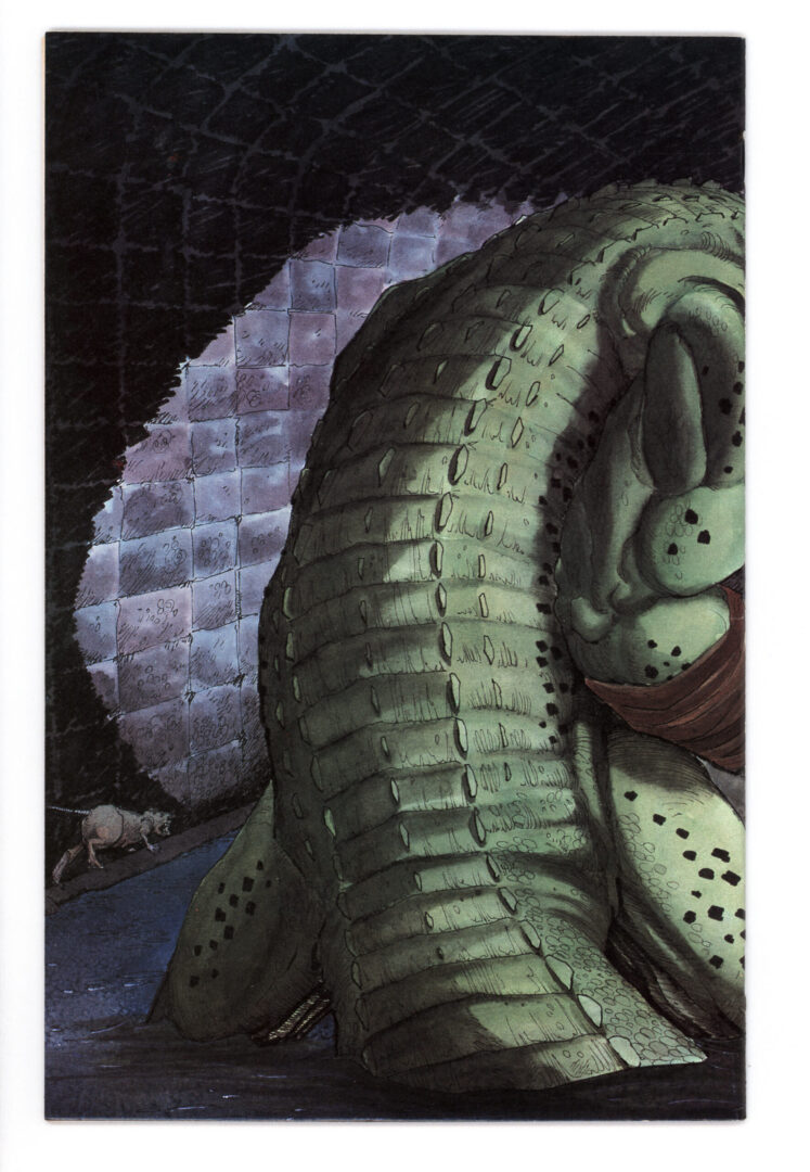 Tales of the Teenage Mutant Ninja Turtles #6  1st App. of Leatherhead  NM-