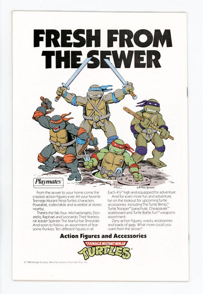 Teenage Mutant Ninja Turtles Adventures #1  VF/NM