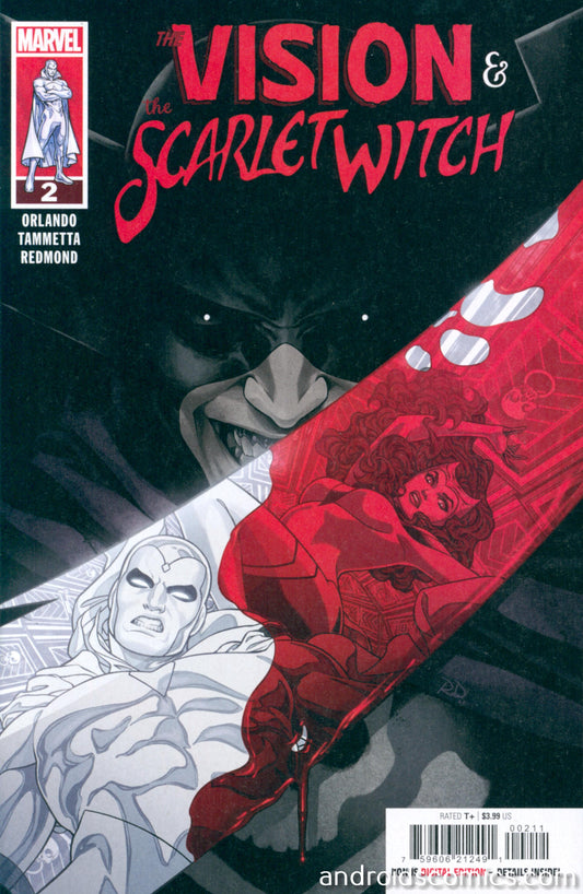 Vision & Scarlet Witch #2 (Of 5)