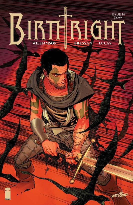 Birthright #14  FN  Cover B