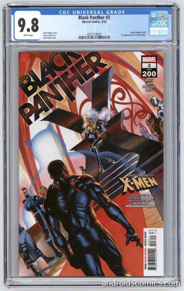 Cover image of playstation game black panther