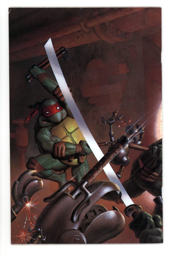 Teenage Mutant Ninja Turtle battle scene.